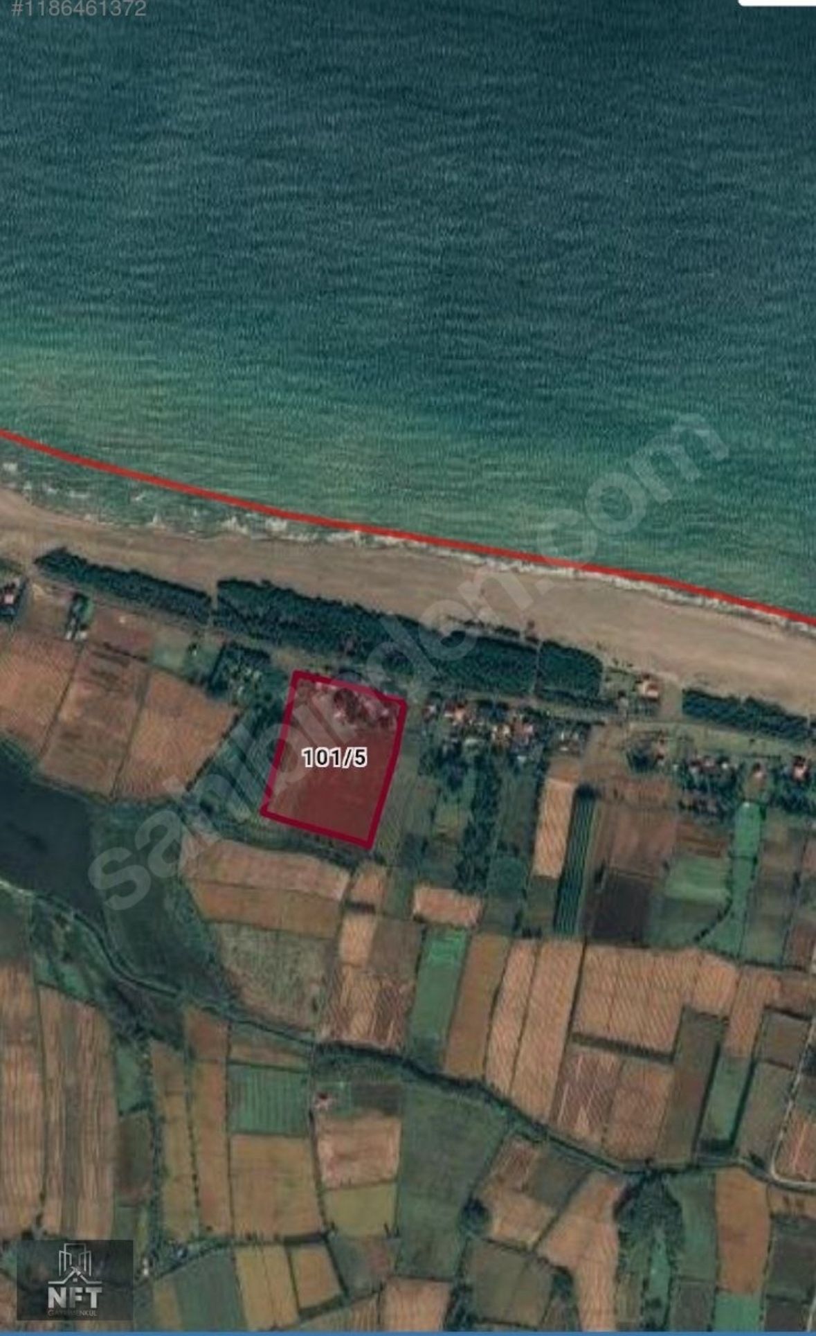 26 Dönüm Tarla - Denize sıfır - Samsun Çarşamba