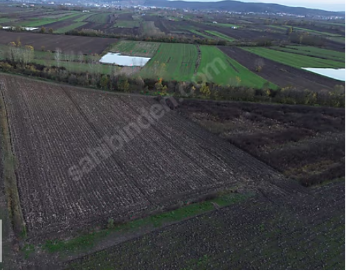 SÖĞÜTLÜ`DE SATILIK TARIM ARAZİSİ