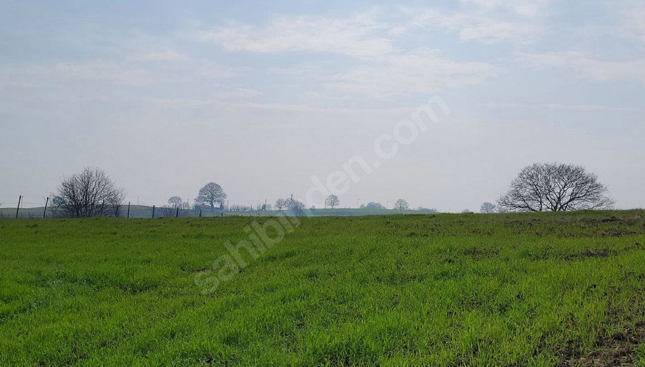 ADAPAZARI KARADAVUTLU'DA SATILIK TARLA